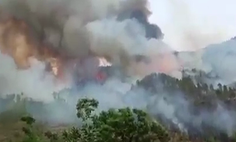 Arrests made over blazes in Swat, Shangla - Newspaper - Vimarsana News