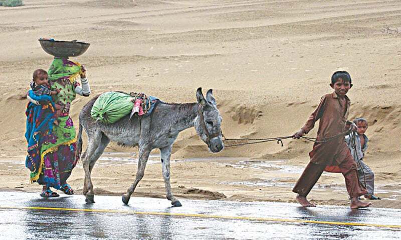 Survey reports loss of income, higher food prices in 28 districts - Newspaper - Vimarsana News