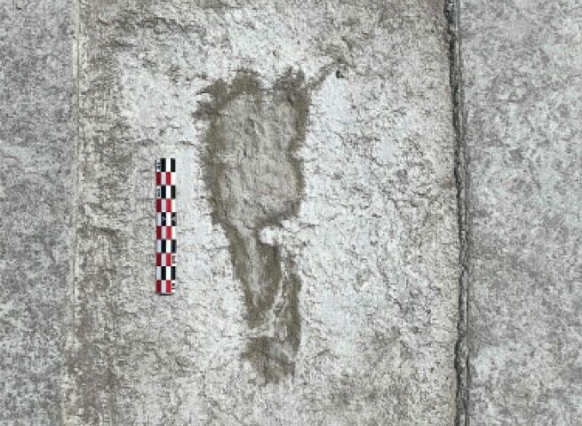 Ice-age footprints shed light on North America's early humans - Newspaper - Vimarsana News