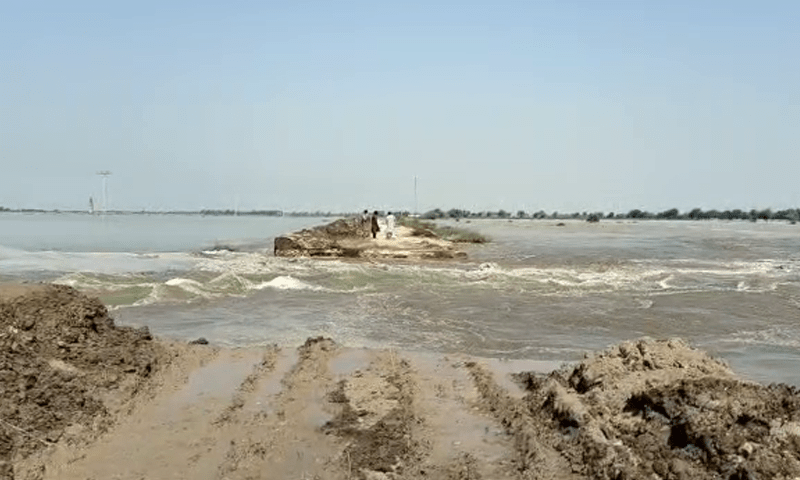 This photo shows the LD bund near Dadu. — DawnNewsTV