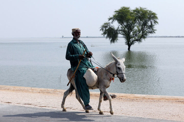 Authorities keeping close eye on bunds as parts of Dadu's Mehar submerged in '10-12ft' of floodwater - Pakistan - Vimarsana News