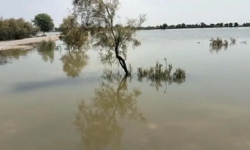 Cut made at Dadu's Badani-Bhan Road as more villages at risk of inundation - Pakistan - Vimarsana News