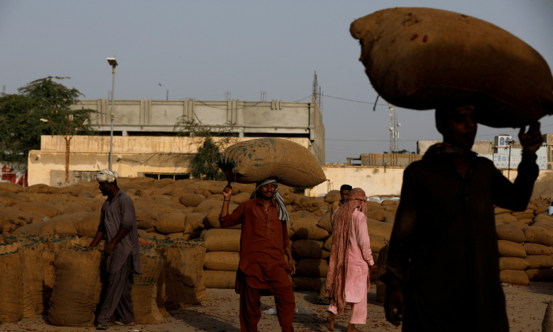 Workers carry sacks of dried red chilies at the Mirch Mandi wholesale market.