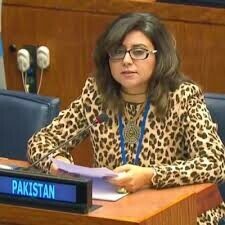 Mumtaz Zahra Baloch replaces Asim Iftikhar as new FO spokesperson - Pakistan - Vimarsana News