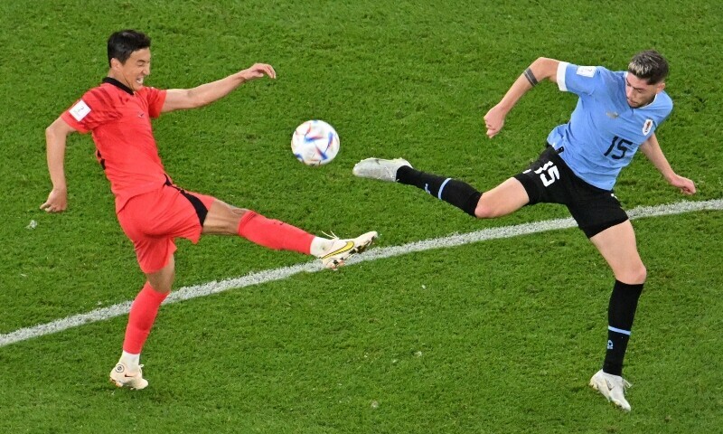 FIFA World Cup 2022: Uruguay held to goalless draw by South Korea - Sport - Vimarsana News