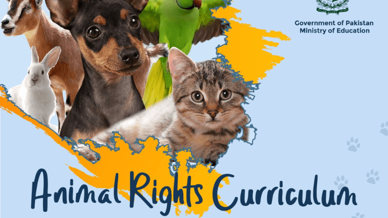 Pakistan’s first animal rights curriculum to be launched ahead of Animal Rights Day