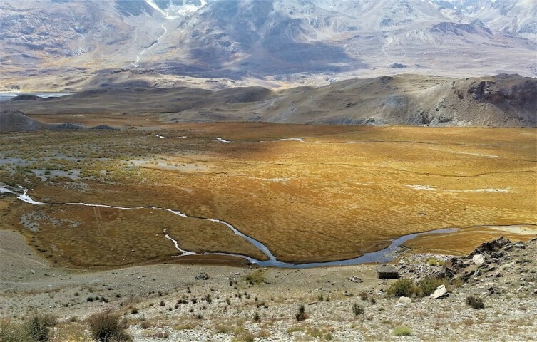  The breathtakingly beautiful grasslands. 