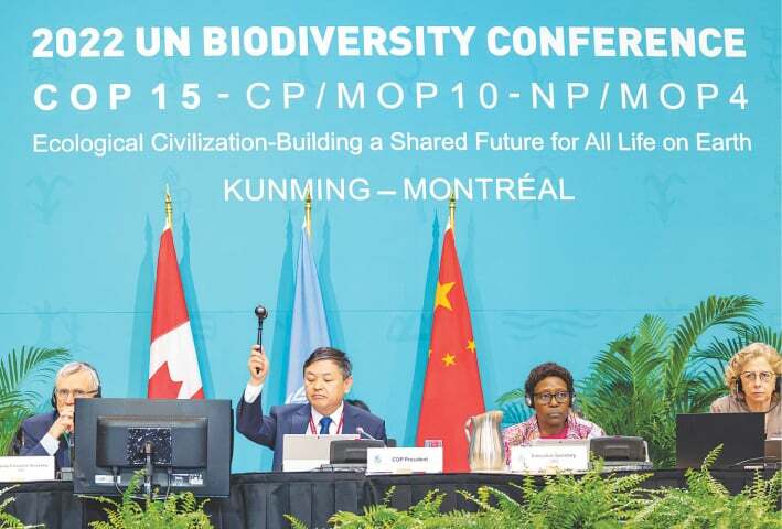 Over 190 nations approve historic Chinese-brokered nature accord - World - Vimarsana News