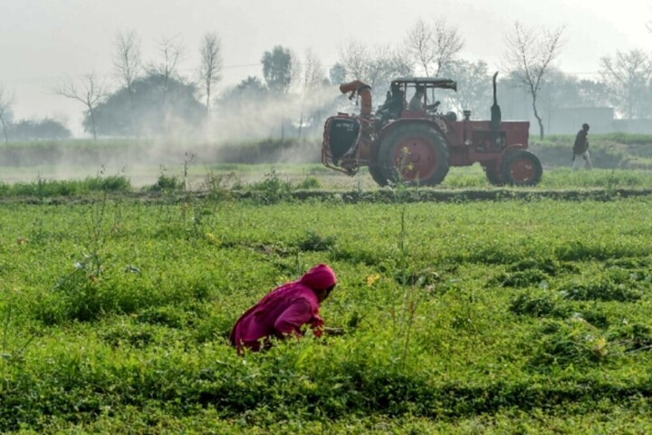 FAO assures Pakistan of support in agriculture - Business - Vimarsana News