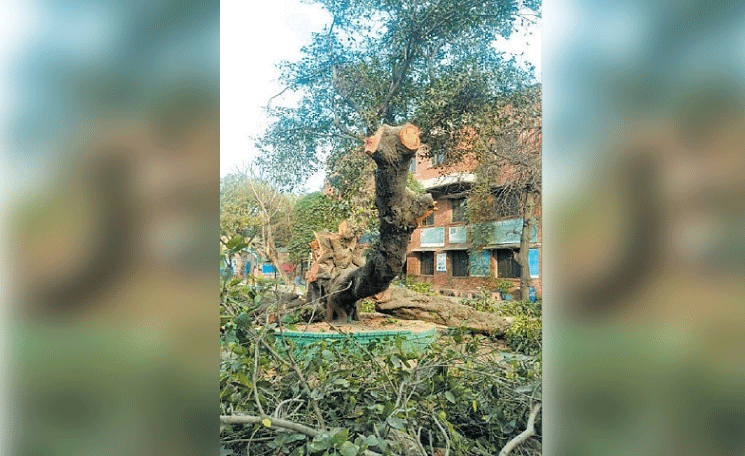 Protest over mysterious chopping of ‘Allah Rakha’ in Lahore - Pakistan ...