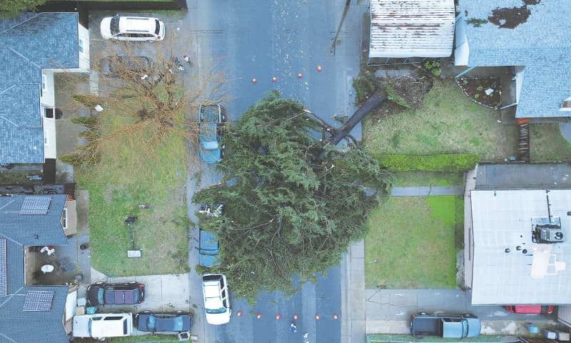 Storm leaves over 330,000 without power in California - World - DAWN.COM