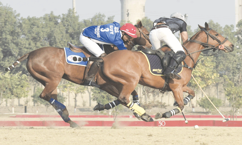 Amirreza, Roberts shine in Allama Iqbal Polo - Newspaper - Vimarsana News