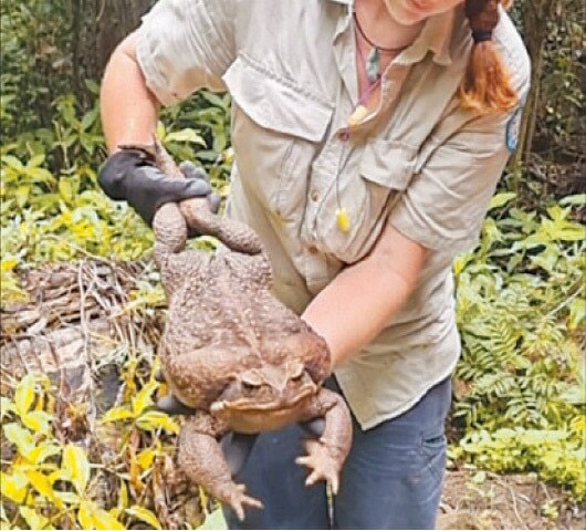 The weekly weird - Newspaper - DAWN.COM