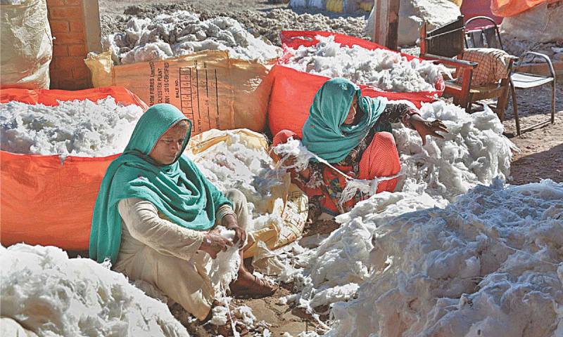 Textile units not buying lint for liquidity crunch - Newspaper - Vimarsana News
