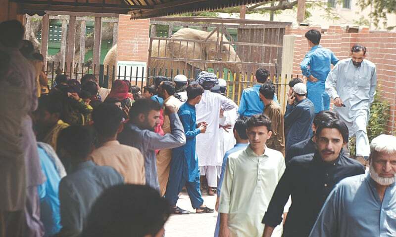 Pakistan Rnj Authorities learn no lessons from Noor Jehan’s passing - Pakistan ...