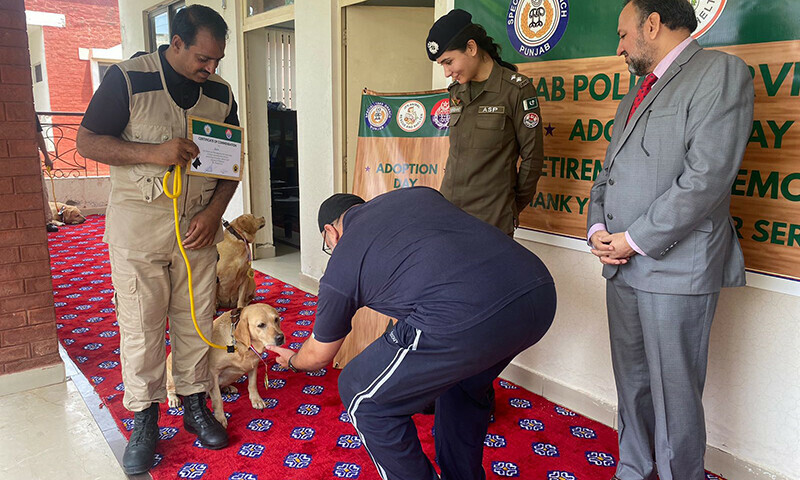 پولیس کو ایسے کتوں کو سنبھالنا مشکل اور مہنگا محسوس ہوتا تھا