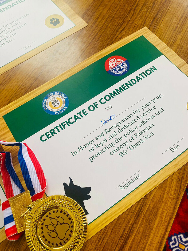 ریٹائر ہونے والے کتوں کو تعریفی سرٹیفکیٹ اور میڈلز بھی دیے گئے