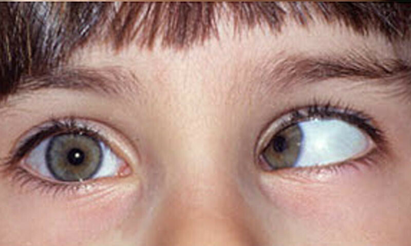 فائل فوٹو: آئی اسٹاک