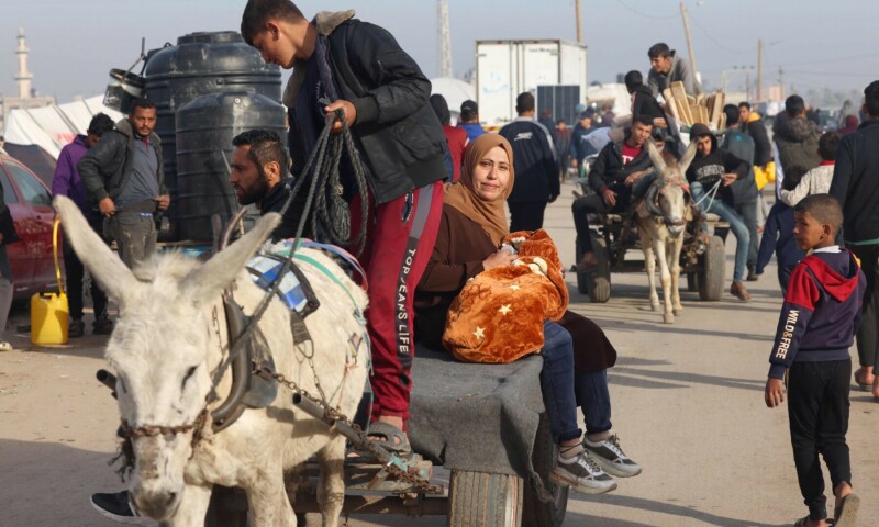 Displaced Palestinians use a donkey cart for transportation at a makeshift tent camp in Rafah near the border with Egypt in the southern Gaza Strip on January 21, 2024. &mdash; AFP