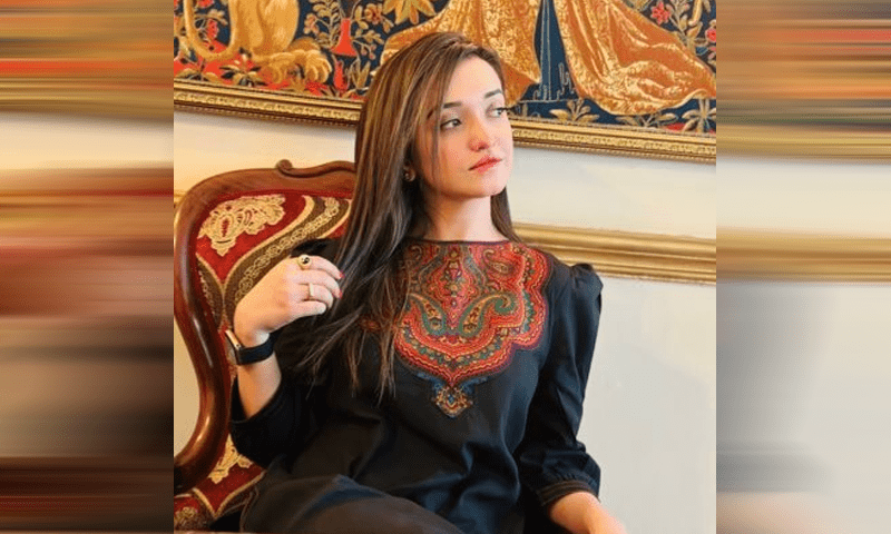 سینیٹ انتخابات: صنم جاوید نے کاغذات نامزدگی مسترد کرنے کا فیصلہ الیکشن ٹربیونل میں چیلنج کردیا