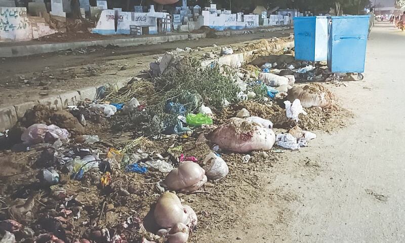 Ragpickers blamed for littering city streets with offal during Eid - Newspaper - DAWN.COM