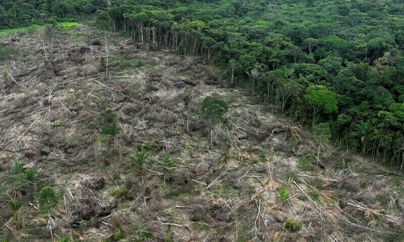 An aerial view shows a deforested area during an operation to combat deforestation near Uruara, Para State, Brazil January 21, 2023. — Reuters/Ueslei Marcelino