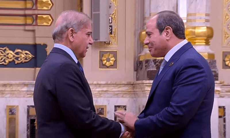 PM Shehbaz to address D8 summit in Cairo today