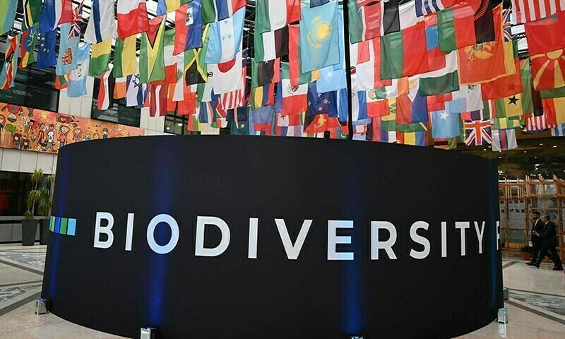 UN nature talks in ‘end game’ to break funding deadlock