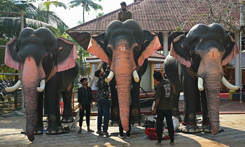  In this picture taken on Feb 24, 2025, workers assemble a robotic elephant model (C), newly donated by the Voice for Asian Elephants Society (VFAES) for religious rituals at the Chakkamparambu Bhagavathy temple in Thrissur, in India’s Kerala state. — AFP 
