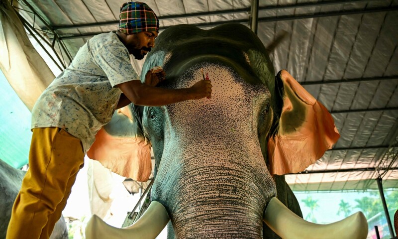  In this picture taken on Feb, 25, 2025, a worker gives final touches to a model of a robotic elephant at a workshop in Thrissur, in India’s Kerala state. — AFP 