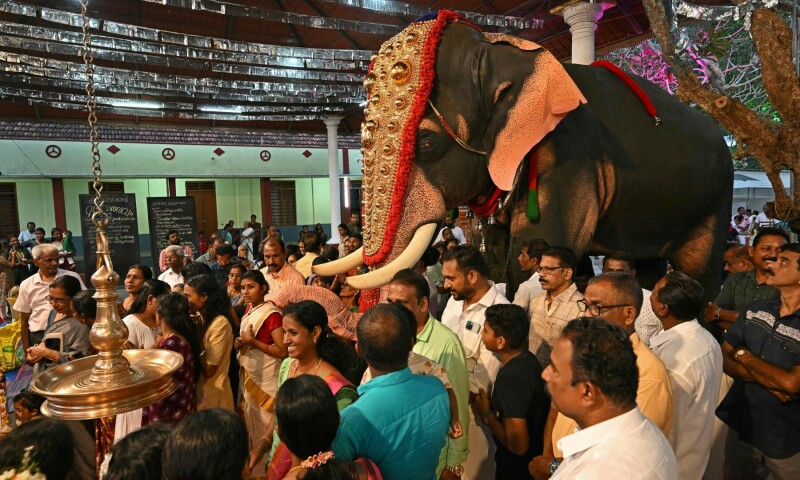  In this picture taken on Feb 24, 2025, Hindu devotees gather around an adorned robotic elephant, newly donated by the Voice for Asian Elephants Society (VFAES) for religious rituals at the Chakkamparambu Bhagavathy temple in Thrissur, in India’s Kerala state. — AFP 
