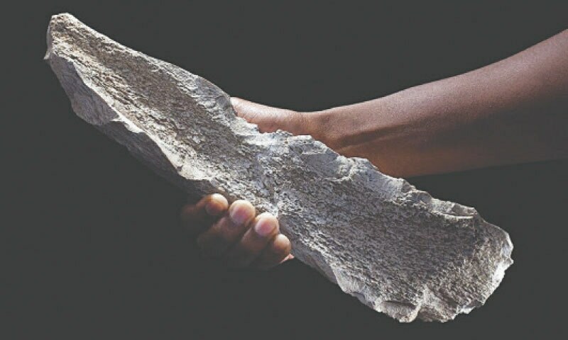 Human ancestors made ‘bone tech’ 1.5m years ago, say scientists