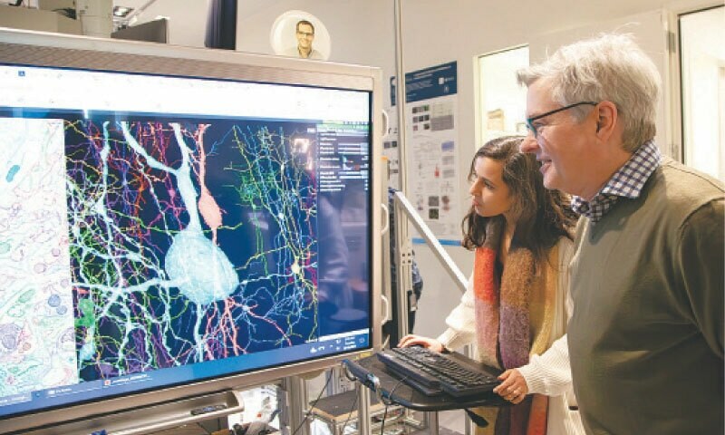 Scientists produce painstaking wiring diagram of mouse’s brain - World ...
