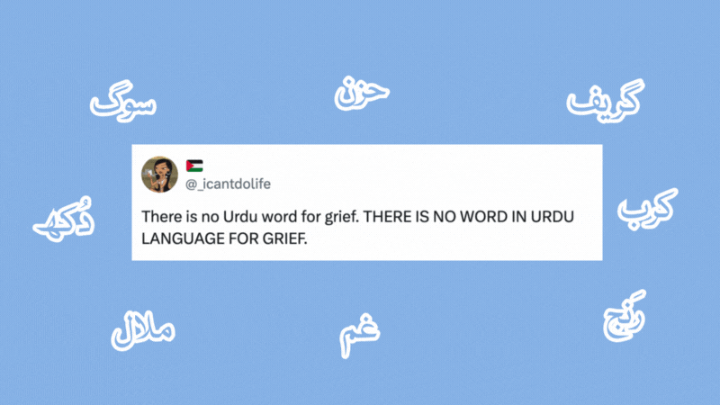 X wants to know what the Urdu word for grief is — among other things