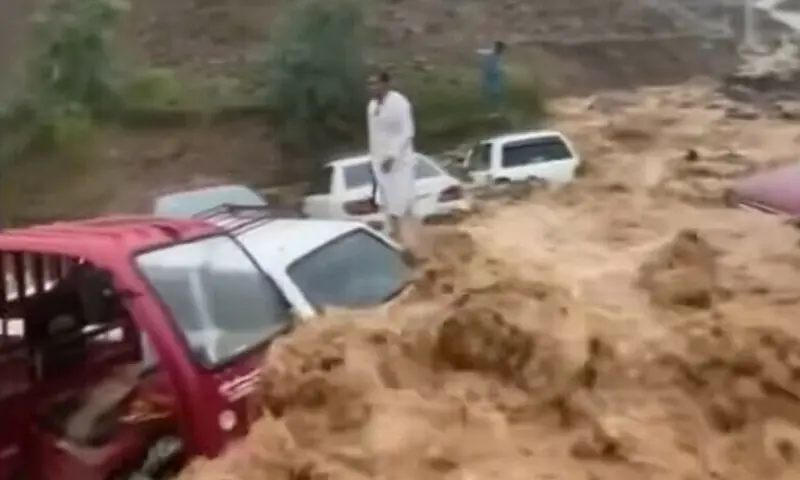 مون سون سیزن کے دوران 819 افراد جاں بحق ہوچکے، این ڈی ایم اے