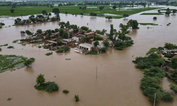 Agricultural loss
