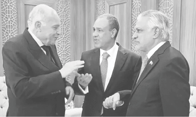 Pakistan, Turkiye reaffirm solidarity with Palestinians, call for urgent aid – Newspaper  www.dawn.com