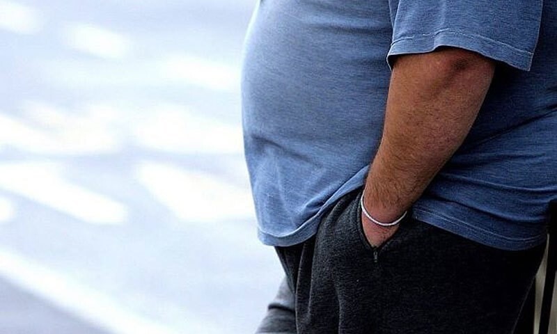 Over 100 million Pakistanis overweight: health experts – Pakistan  Dawn