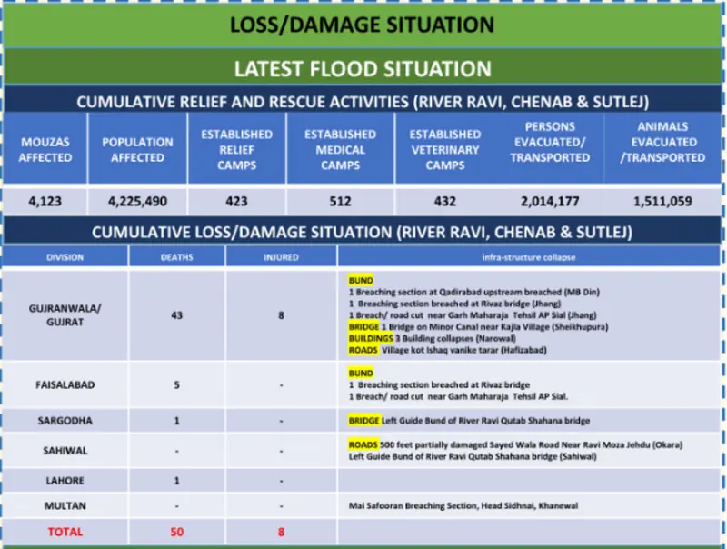 Flooded streets in Punjab