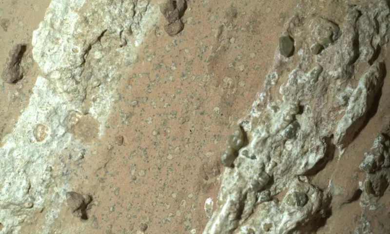  A reddish rock nicknamed &ldquo;Cheyava Falls&rdquo;, with features resembling leopard spots was discovered by NASA&rsquo;s Perseverance rover in Marsa&rsquo;s Jezero Crater in July 2024, in this handout photograph released on Sept 10, 2025. &mdash; Reuters 