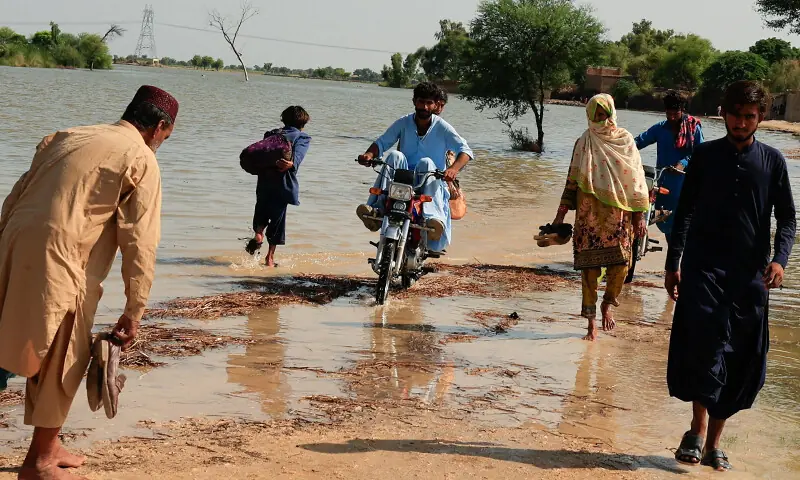 سندھ: نوشہرو فیروز اور گھوٹکی میں اونچے درجے کا سیلاب، کچے کے متعدد دیہات زیر آب