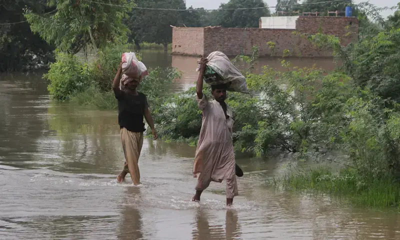 سینیٹ قائمہ کمیٹی کی سیلاب سے متاثرہ اضلاع کو آفت زدہ قرار دینے کی سفارش