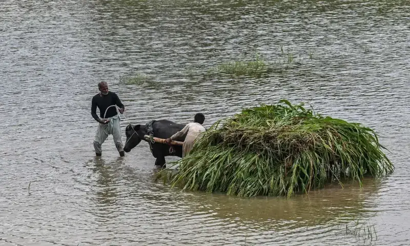 سیلاب کے باعث سپلائی چین میں رکاوٹوں سے مہنگائی بڑھ سکتی ہے، حکومت کا انتباہ