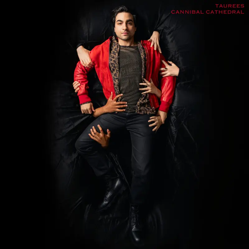 Pakistan&rsquo;s Taurees Habib is so much more than his Grammy, and &lsquo;Cannibal Cathedral&rsquo; proves it
