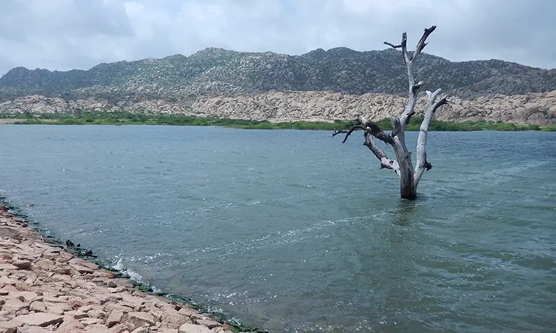    بھوڈیسر تالاب، ننگرپارکر—تصویر: لکھاری   