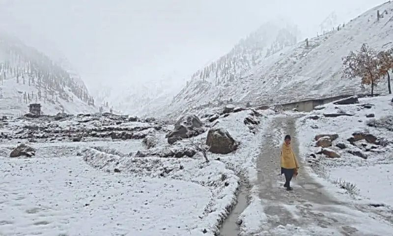 Police rescue missing German tourist in Kaghan Valley