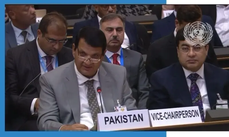 Pakistan urges international community to help with Afghan repatriation efforts