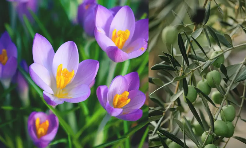 — فوٹو: ڈان نیوز