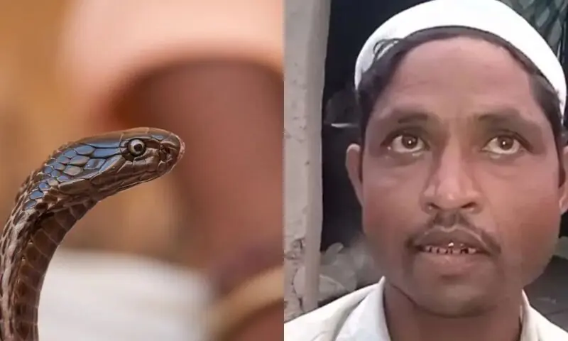 رات کے وقت بیوی سانپ بن جاتی ہے، کئی بار ڈسنے کی کوشش کرچکی ہے، شوہر کا بیوی پر انوکھا الزام
