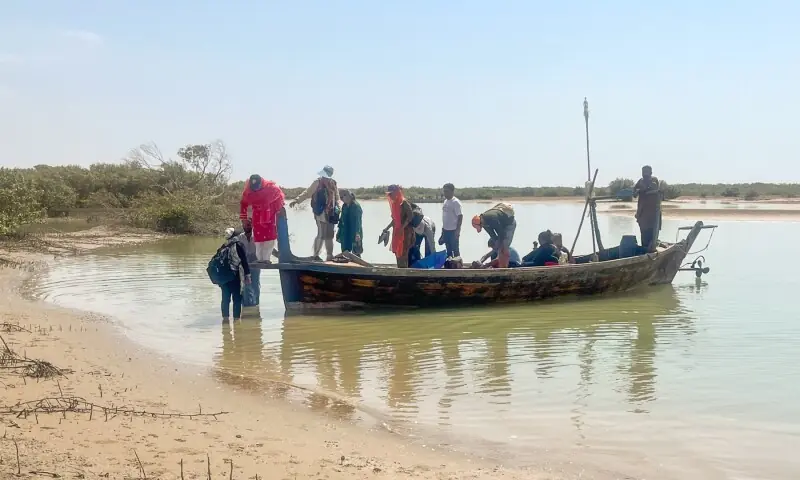 Tourists visit mangroves planted and cared for by local people. It is hoped MPA status will boost eco-tourism and help locals generate income. &mdash;Hawwa Fazal